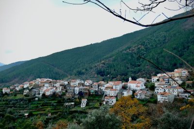 Guarda: Cabeça transforma-se em «Aldeia Natal» com tudo o que é abundante na «serra verdejante»