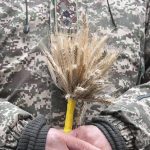 «Urbi et Orbi»: Papa evoca crise em Gaza e «povo ucraniano massacrado»