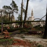 Fátima: Temporal derruba dezenas de árvores no Santuário, mas poupa Capelinha das Aparições