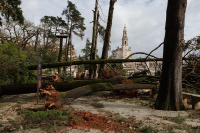 Fátima: Temporal derruba dezenas de árvores no Santuário, mas poupa Capelinha das Aparições