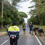Lisboa: Patriarca acompanha com «preocupação» situação provocada por tempestade e apela à oração pelos afetados