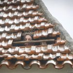 Leiria:  Não estão sozinhos neste momento», diz D. José Ornelas em mensagem às vítimas do mau tempo