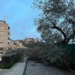 Leiria: Cáritas Diocesana criou um «Fundo de Emergência Social» para apoiar às vítimas da Tempestade Kristin