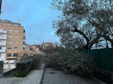 Leiria: Cáritas Diocesana criou um «Fundo de Emergência Social» para apoiar vítimas da Tempestade Kristin