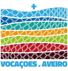 Vocações: Diocese de Aveiro dinamiza itinerário espiritual, do «ver confuso» ao encontro