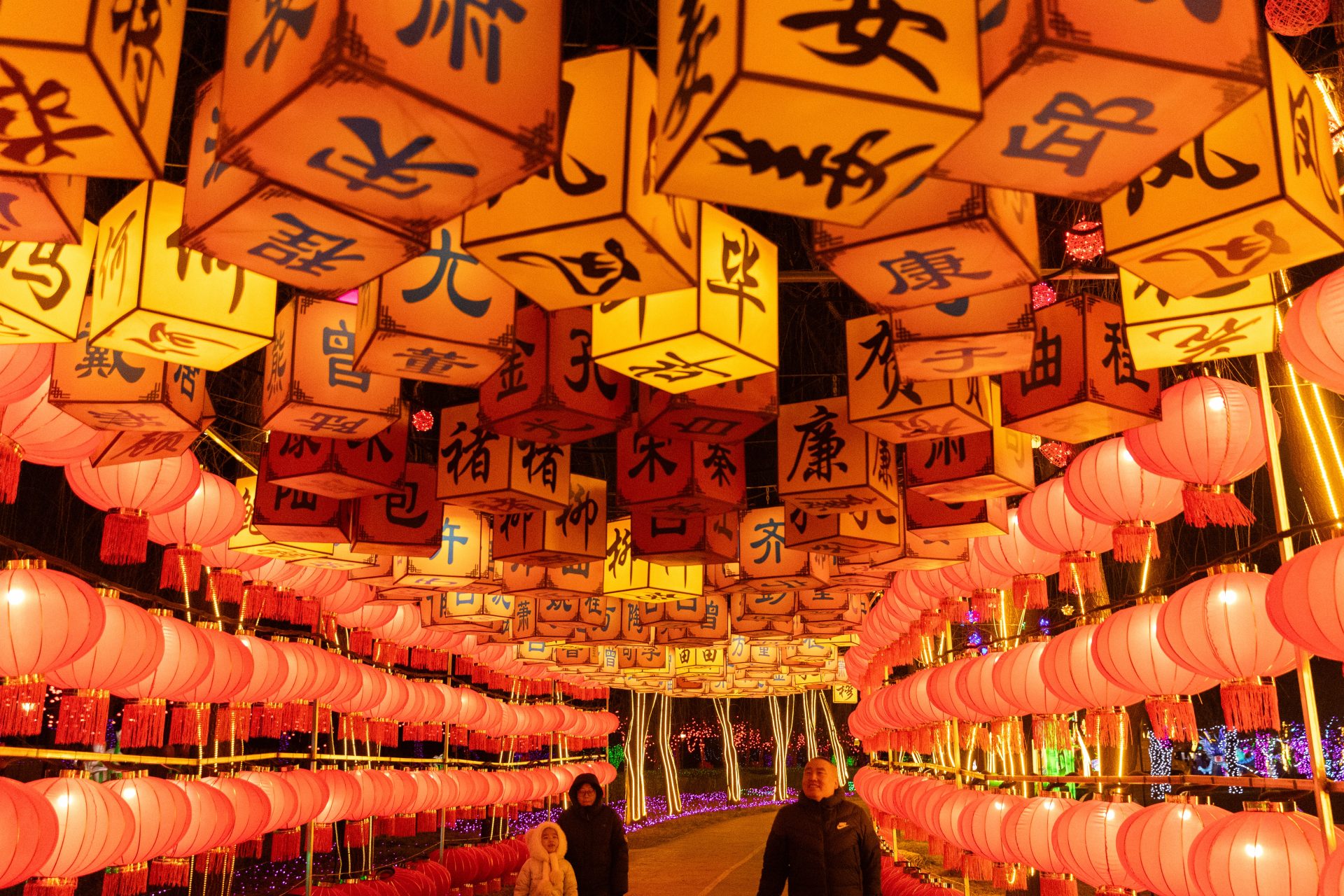 Vaticano: Papa envia saudações pelo Ano Novo Lunar