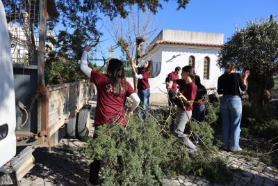 Missão País: Estudantes de Medicina Veterinária ajudam a reconstruir telhados, limpar casas e retirar árvores caídas com a tempestade, em Abiul