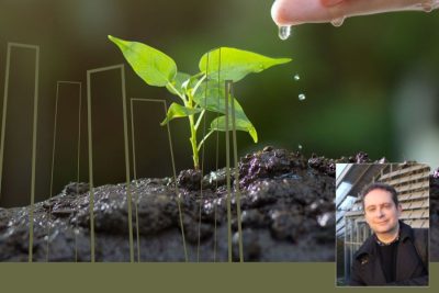 Aveiro: Nova sessão das «Tertúlias 2026» analisa «O desafio ecológico»