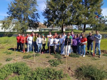Aveiro: Jovens uniram-se na plantação de 200 árvores para compensar pegada ecológica do Jubileu