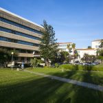 Educação: UCP promove doutoramento em Ecologia Integral que cruza ambiente, economia e dignidade humana