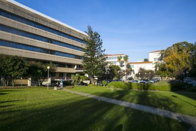 Educação: UCP promove doutoramento em Ecologia Integral que cruza ambiente, economia e dignidade humana