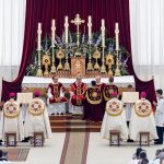 Igreja: Fraternidade de São Pio X celebrou ordenações episcopais sem mandato pontifício