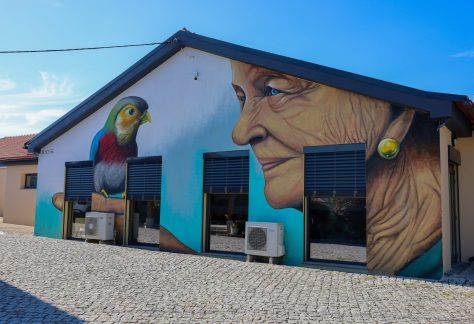 Guarda: Cultura do afeto é a estratégia para mudar o paradigma do apoio domiciliário