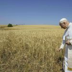Igreja/Ambiente: A guerra deixa «uma destruição social e ecológica que perdura gerações»