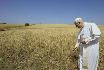 Igreja/Ambiente: A guerra deixa «uma destruição social e ecológica que perdura gerações»