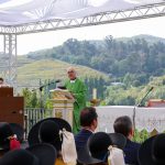 Douro: Bispo de Vila Real lembrou «difícil situação das pessoas da região», e migrantes que trabalham nas vinhas