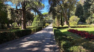 Vaticano/EUA: Centro «Laudato Si» promove cimeira em Nova Iorque